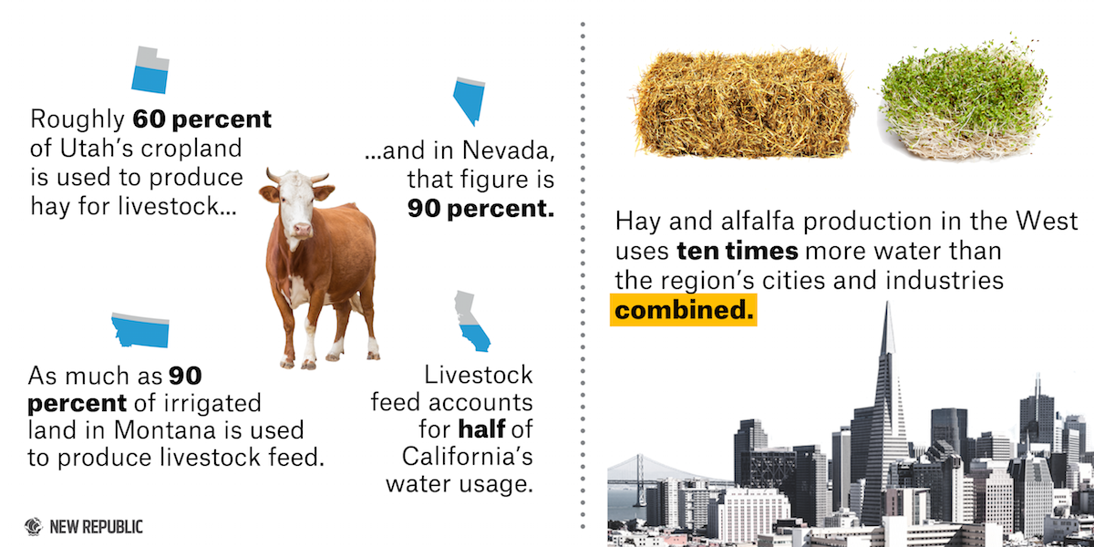 ac587db5aa854eb54766c7c8f7a23e6aa537186a