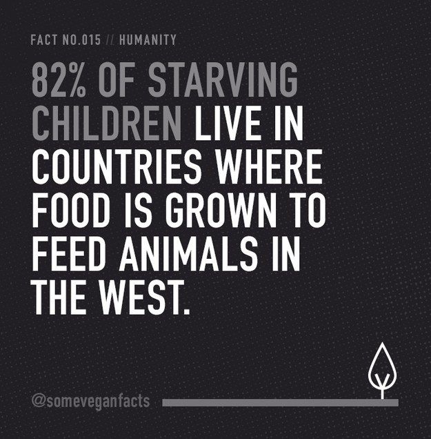 b93c3df8cf8a32c207861d7d3ff6bd84