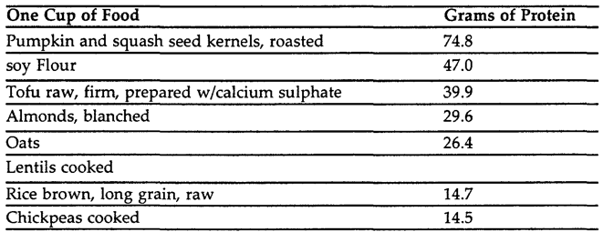 best-vegetarian-protein-sources