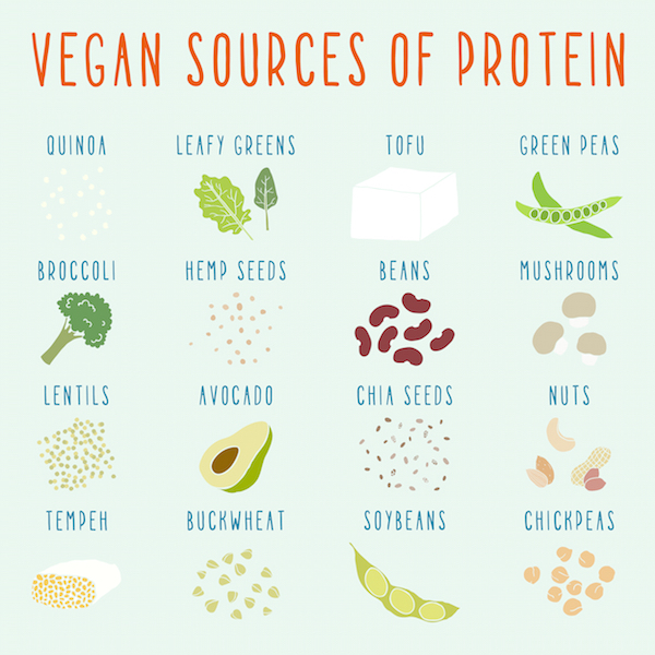 vegansources-ofprotein
